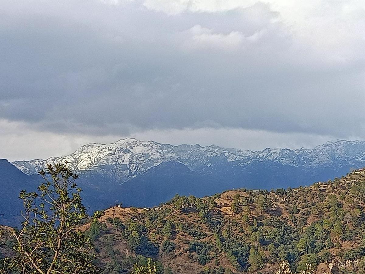 Shiva Valley Resort Kokhliyal Gaon エクステリア 写真