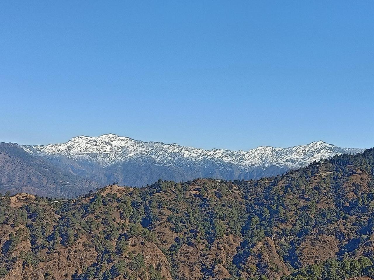 Shiva Valley Resort Kokhliyal Gaon エクステリア 写真